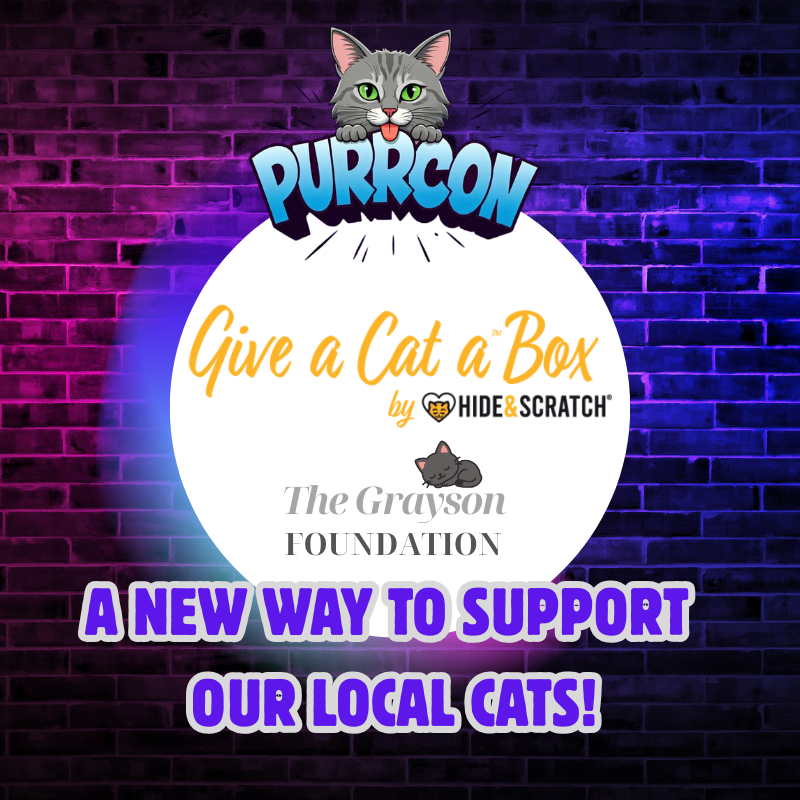 Give a Cat a Box — presented by Hide & Scratch and The Grayson Foundation